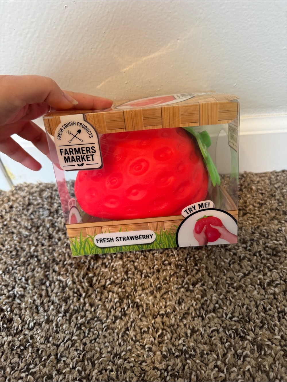 Brand New Giant Fresh Strawberry Squishy Red